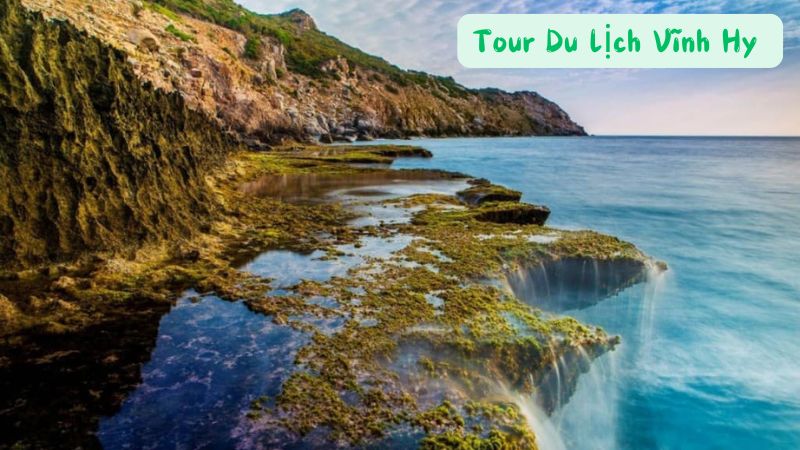 Tour Du Lịch Vĩnh Hy: Khám Phá Vịnh Biển Hoang Sơ và Hấp Dẫn