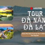 Tour Đà Nẵng Đà Lạt – Khám Phá Hành Trình Kỳ Thú Từ Biển Đến Cao Nguyên