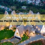 Bảo Tàng Cà Phê Gia Lai: Khám Phá Di Sản Văn Hóa và Nông Nghiệp