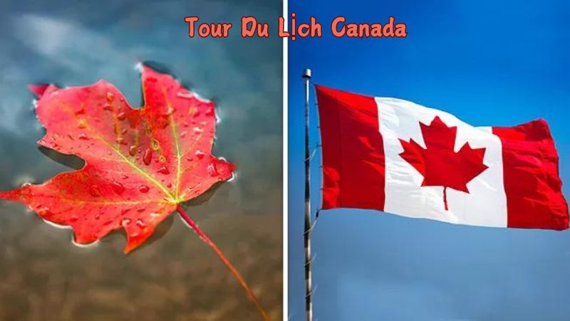 Tour Du Lịch Canada – Khám Phá Đất Nước Lá Phong Đầy Cuốn Hút